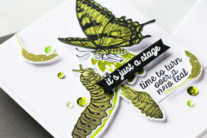 Hero Arts | Color Layering With Yana Series – Color Layering Caterpillar & Butterflies Cards by Yana Smakula. Video Tutorial. #heroarts #cardmaking #stamping #colorlayering 