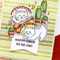 Hero Arts | April 2018 My Monthly Hero Blog Hop. Video. Handmade cards by Yana Smakula. Cinco De Mayo Cards; Fiesta Card; Feliz Cumpleanos Cards #cardmaking #handmadecard #mymonthlyhero #stamping