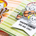 Hero Arts | April 2018 My Monthly Hero Blog Hop. Video. Handmade cards by Yana Smakula. Cinco De Mayo Cards; Fiesta Card; Feliz Cumpleanos Cards #cardmaking #handmadecard #mymonthlyhero #stamping