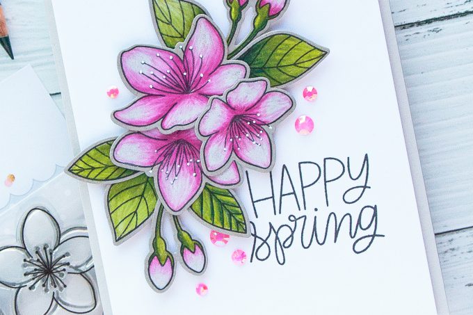 PRetty Pink Posh | Cherry Blossoms & Polychromos Pencils. Video + Blog Hop + Giveaway Handmade card by Yana Smakula #cardmaking #pencilcoloring #polychromos #adultcoloring #prettypinkposh