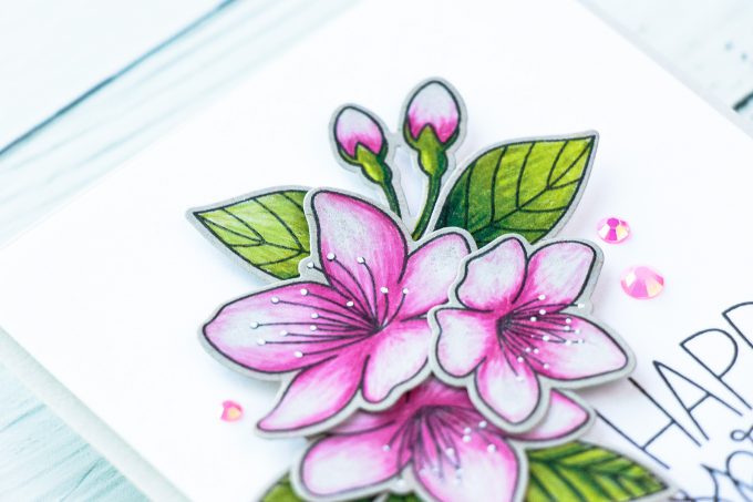 PRetty Pink Posh | Cherry Blossoms & Polychromos Pencils. Video + Blog Hop + Giveaway Handmade card by Yana Smakula #cardmaking #pencilcoloring #polychromos #adultcoloring #prettypinkposh