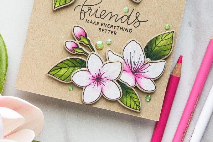 Pretty Pink Posh | Cherry Blossoms Friendship Card. Photo Tutorial by Yana Smakula #prettypinkpost #stamping #polychromos #coloring #adultcoloring #friendshipcard 