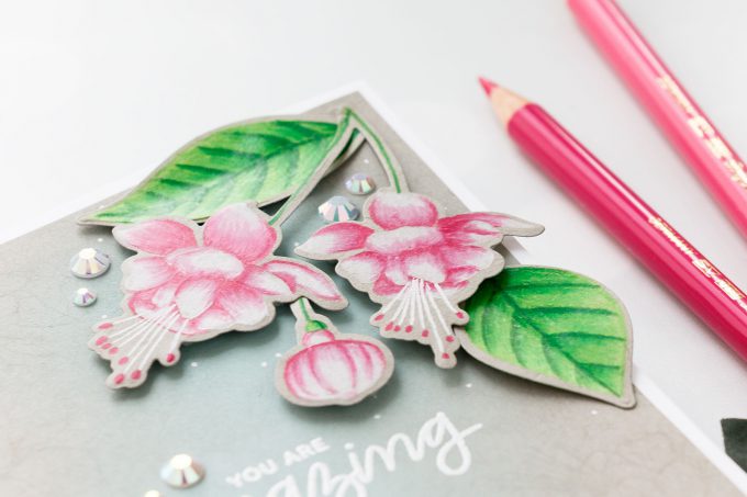 Pretty Pink Posh | Pencil Colored Fuchsias by Yana Smakula. Video tutorial. #cardmaking #prettypinkposh #polychromos #stamping