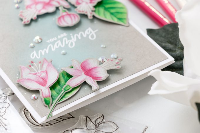 Pretty Pink Posh | Pencil Colored Fuchsias by Yana Smakula. Video tutorial. #cardmaking #prettypinkposh #polychromos #stamping