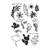 Flora and Fauna Tropical Vibes Clear Stamps 20178