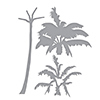 Spellbinders Layered Palm Tree Dies
