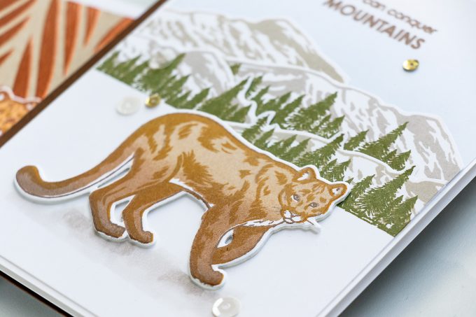 Hero Arts | Color Layering With Yana Series – Color Layering Mountain Lion Cards. Video tutorial by Yana Smakula #colorlayering #cardmaking #stamping #papercrafting #cleanandsimplecard #heroarts
