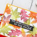 Hero Arts | Fall Foliage Cards. September 2018 My Monthly Hero Kit. Video tutorial. Pattern stamping 3 ways. #yscardmaking #heroarts #mymonthlyhero #cardmaking #fallcard #fallcardmaking #autumncard #heroartskit #cardkit #handmadecard