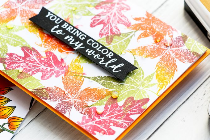 Hero Arts | Fall Foliage Cards. September 2018 My Monthly Hero Kit. Video tutorial. Pattern stamping 3 ways. #yscardmaking #heroarts #mymonthlyhero #cardmaking #fallcard #fallcardmaking #autumncard #heroartskit #cardkit #handmadecard