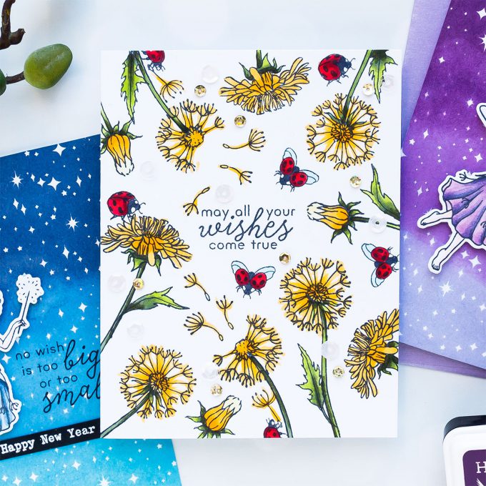 Hero Arts | December 2018 My Monthly Hero Kit. Video (Blog Hop + Giveaway). Handmade cards by Yana Smakula