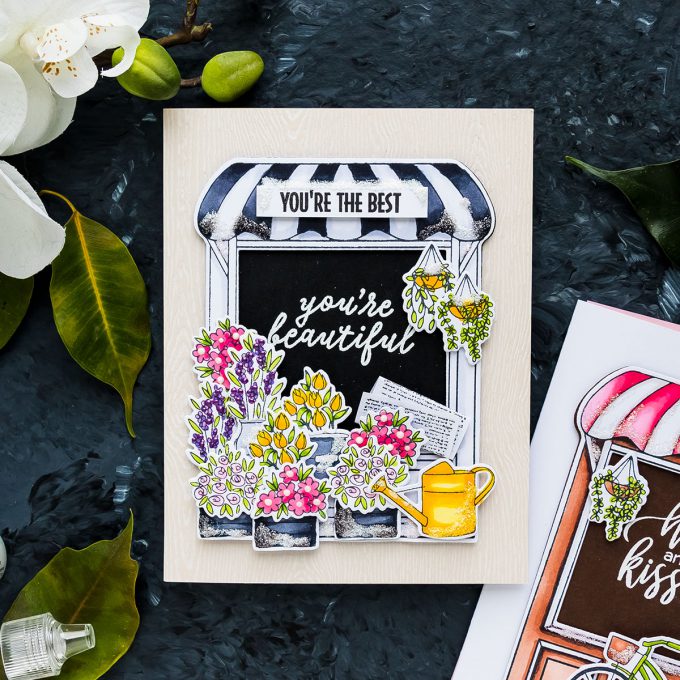 Hero Arts | Store Front Floral Cards. January 2019 My Monthly Hero Kit. Video (Blog Hop + Giveaway)