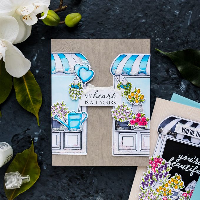 Hero Arts | Store Front Floral Cards. January 2019 My Monthly Hero Kit. Video (Blog Hop + Giveaway)