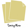 PTI Spring Moss Cardstock