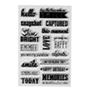 Spellbinders Captured Sentiments Clear Stamps