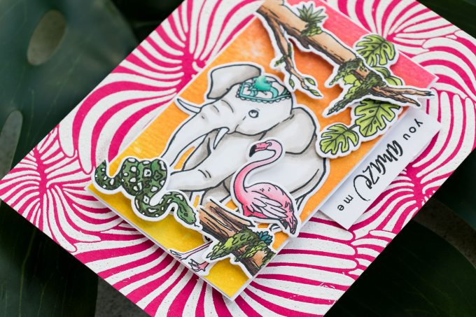 Jungle Cards with Hero Arts My Monthly Hero June 2019 Kit | Video