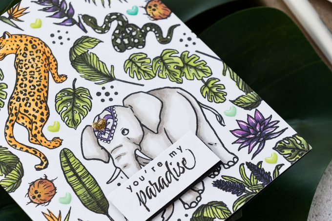 Jungle Cards with Hero Arts My Monthly Hero June 2019 Kit | Video