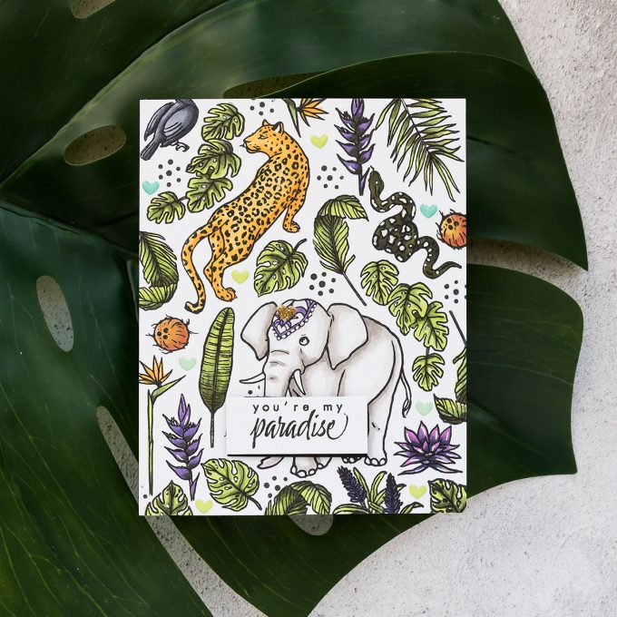 Jungle Cards with Hero Arts My Monthly Hero June 2019 Kit | Video