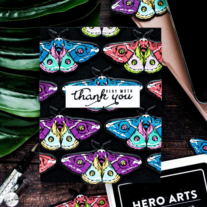 Hero Arts | Color Layering Moth. Color Layering with Yana Series. Video