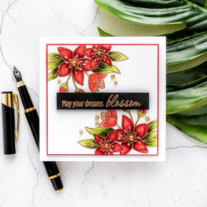 Hero Arts | March 2020 My Monthly Hero Kit & Add Ons – Asian Greeting Cards by Yana Smakula #mmh #heroarts #cardmaking #stamping