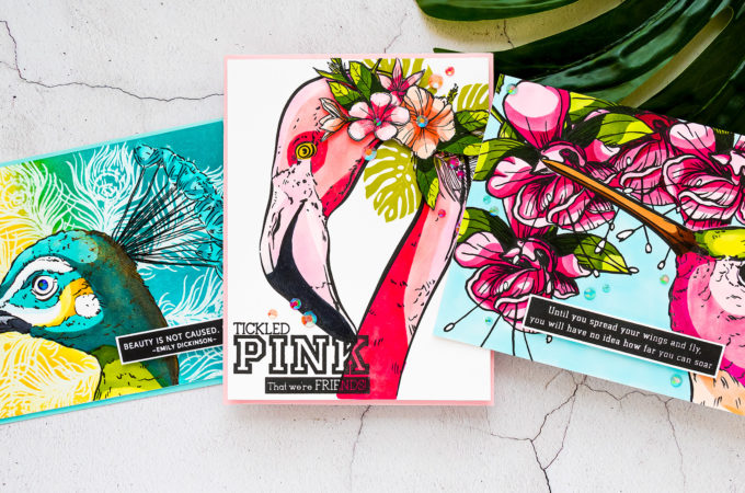 Colorado Craft Company | July 2020 | Cardmaking & Coloring in Graphic Style. No Blending Copic Coloring with Big & Bold sets. Video + Giveaways #cardmaking #coloradocraftcompany #copiccoloring #stamping