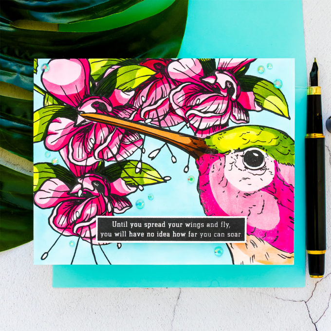 Colorado Craft Company | July 2020 | Cardmaking & Coloring in Graphic Style. No Blending Copic Coloring with Big & Bold sets. Video + Giveaways #cardmaking #coloradocraftcompany #copiccoloring #stamping
