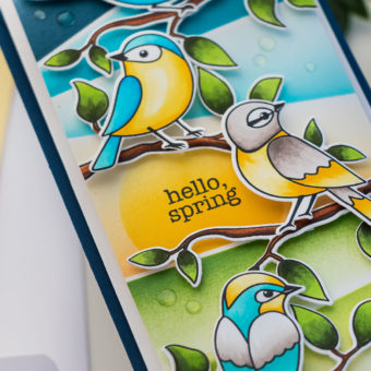 Simon Says Stamp | Hello Beautiful Release - Spring Birds Mini Slimline Card by Yana Smakula #cardmaking #stamping #simonsaysstamp