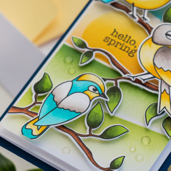 Simon Says Stamp | Hello Beautiful Release - Spring Birds Mini Slimline Card by Yana Smakula #cardmaking #stamping #simonsaysstamp