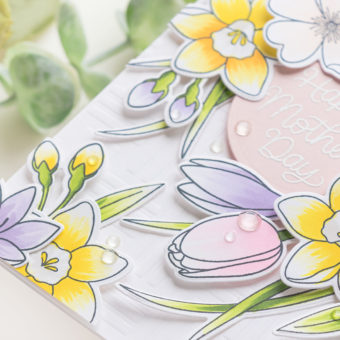 Mother's Day Card Ideas | Video | Blog Hop + Giveaway