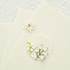 Spellbinders Alabaster Color Essentials Cardstock