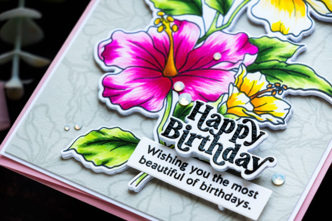 Simon Says Stamp | Happy Birthday Hibiscus Card by Yana Smakula featuring HIBISCUS BLOOMS sss202338c #simonsaysstamp #sssmakemagic