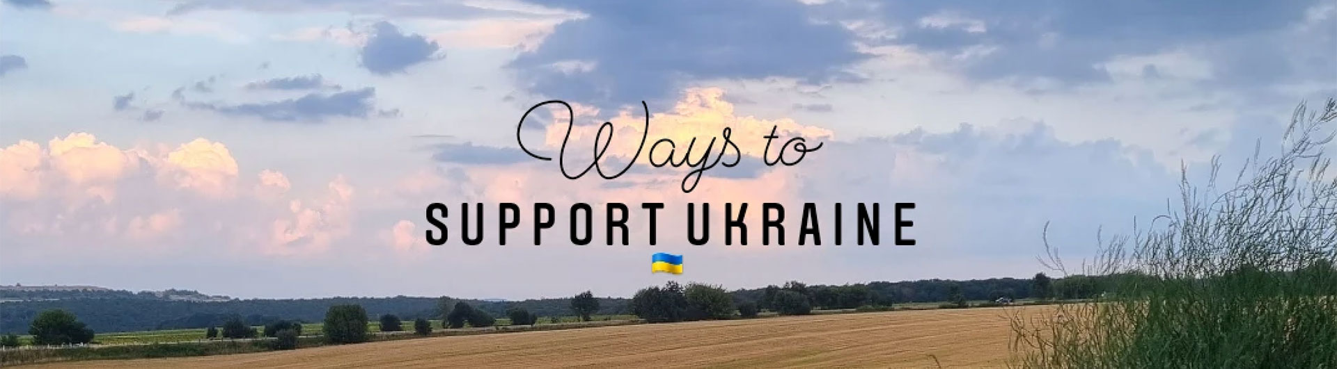 Support Ukraine