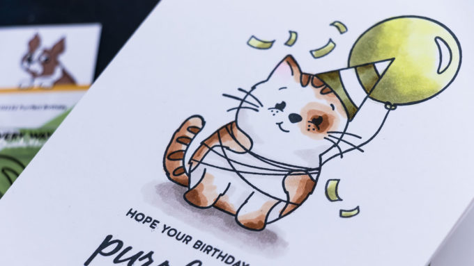 Simon Says Stamp | One Layer Birthday Cards for Cat People. Video