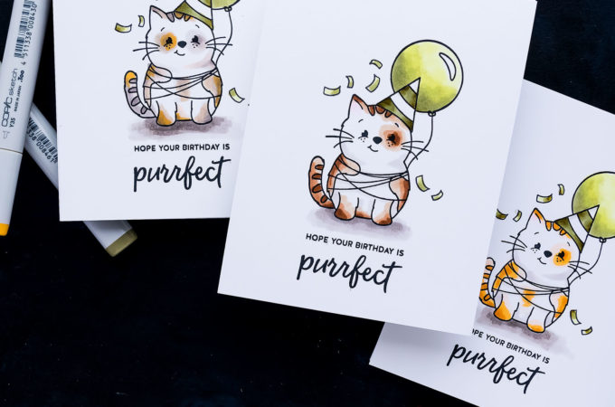 Simon Says Stamp | One Layer Birthday Cards for Cat People. Video