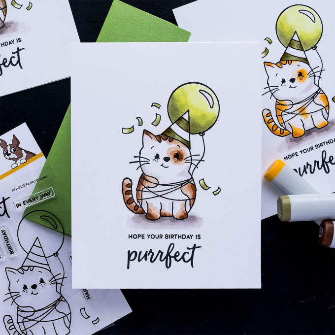 Simon Says Stamp | One Layer Birthday Cards for Cat People. Video