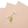 Spellbinders Peach Sorbet Color Essentials Cardstock 8.5" X 11"