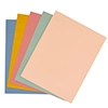 Spellbinders Wildflower Assorted Pack Color Essentials Cardstock 8.5" X 11"