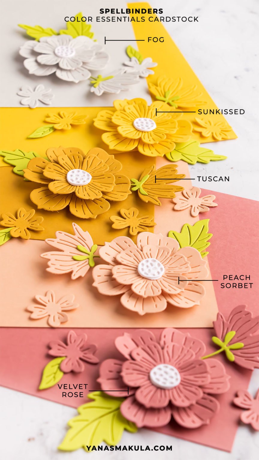 New Cardstock Colors from Spellbinders Video Yana Smakula