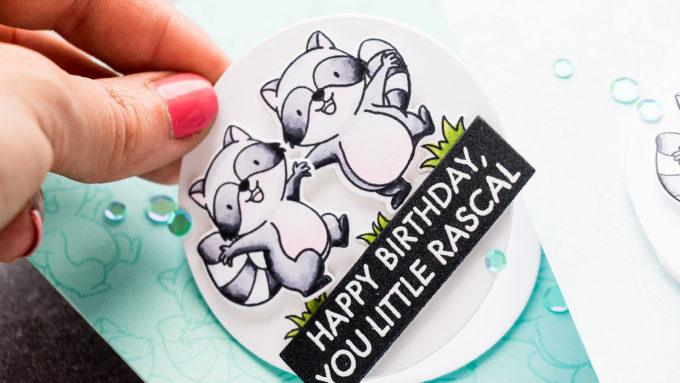 MFT Stamps | Interactive Raccoon Birthday Cards. Video