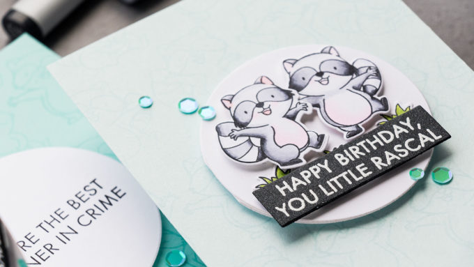 MFT Stamps | Interactive Raccoon Birthday Cards. Video