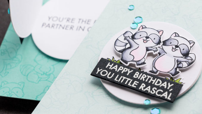 MFT Stamps | Interactive Raccoon Birthday Cards. Video