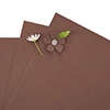 Spellbinders Latte Color Essentials Cardstock 8.5 X 11”
