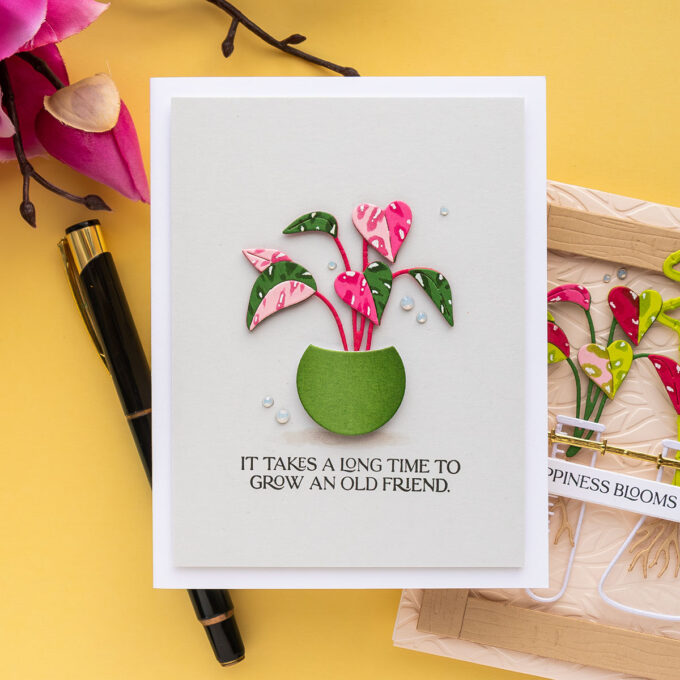 Spellbinders | Propagation Garden Cards. Video