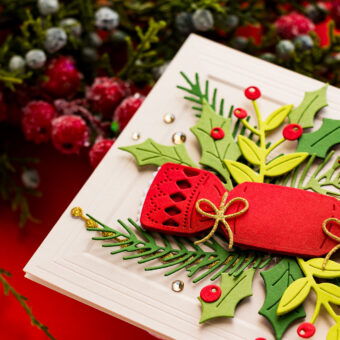 How To Use Christmas Cracker Die from the City Holiday Collection | Video