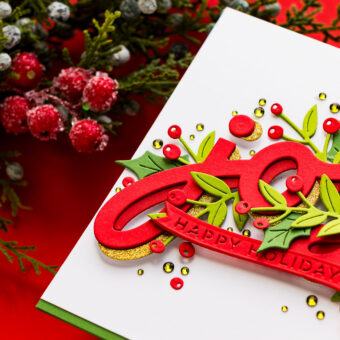 How To Use Yana’s Shadow Joy Die from the City Holiday Collection | Video