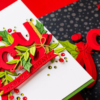 How To Use Yana’s Shadow Joy Die from the City Holiday Collection | Video
