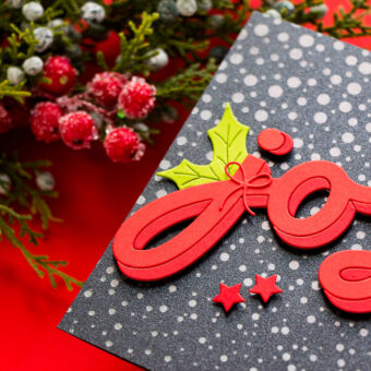 How To Use Yana’s Shadow Joy Die from the City Holiday Collection | Video