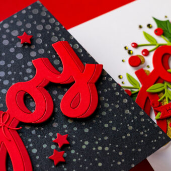 How To Use Yana’s Shadow Joy Die from the City Holiday Collection | Video