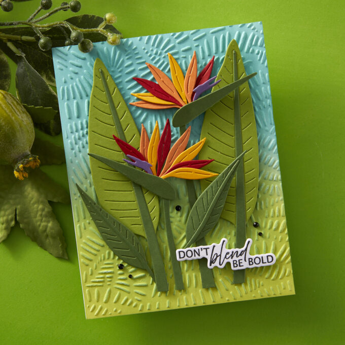 Spellbinders 2026 Weekender Unboxing & Early Access for Club Members. Video