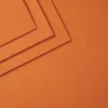 Spellbinders Carrot ColorWheel Cardstock