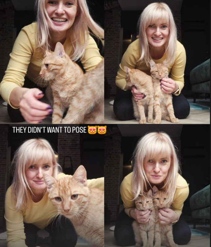 My July 2026 Collection with Spelbinders is HERE! Yana's Christmas Cats – Collection Introduction Video